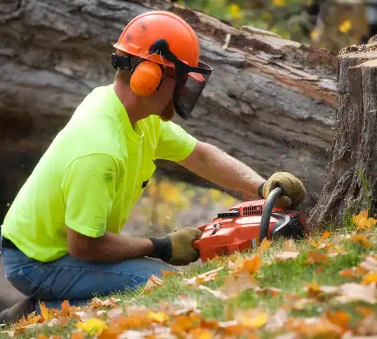 tree services Chance